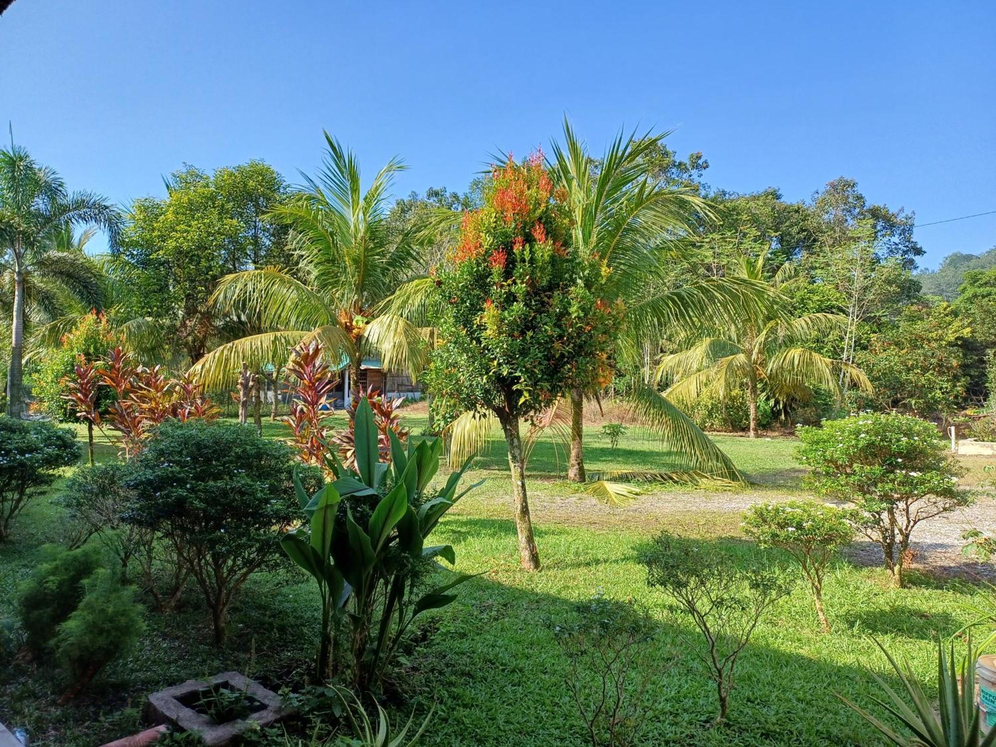Lemuni Retreat & Training Centre - Kerling, Selangor Hotel Eksteriør billede